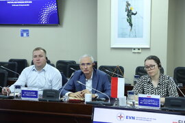 Phó Tổng giám đốc EVN Võ Quang Lâm làm việc với Đại sứ quán Ba Lan và Công ty Elproma